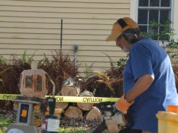 chainsaw carving